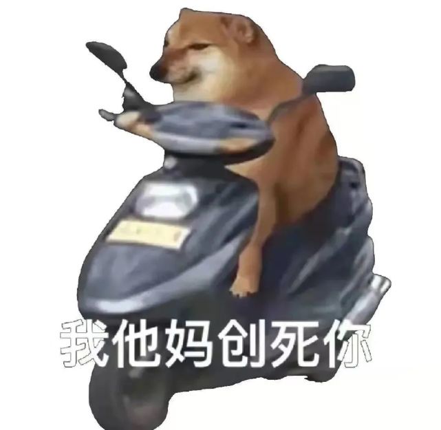 我创死你表情包 狗狗小电驴电动车表情包