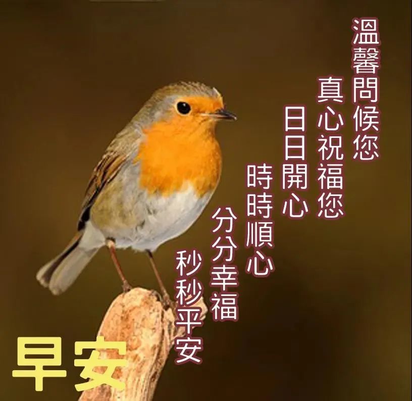 2021年12月22日清晨早上好问候祝福动态表情图片最新早安问候祝福图片