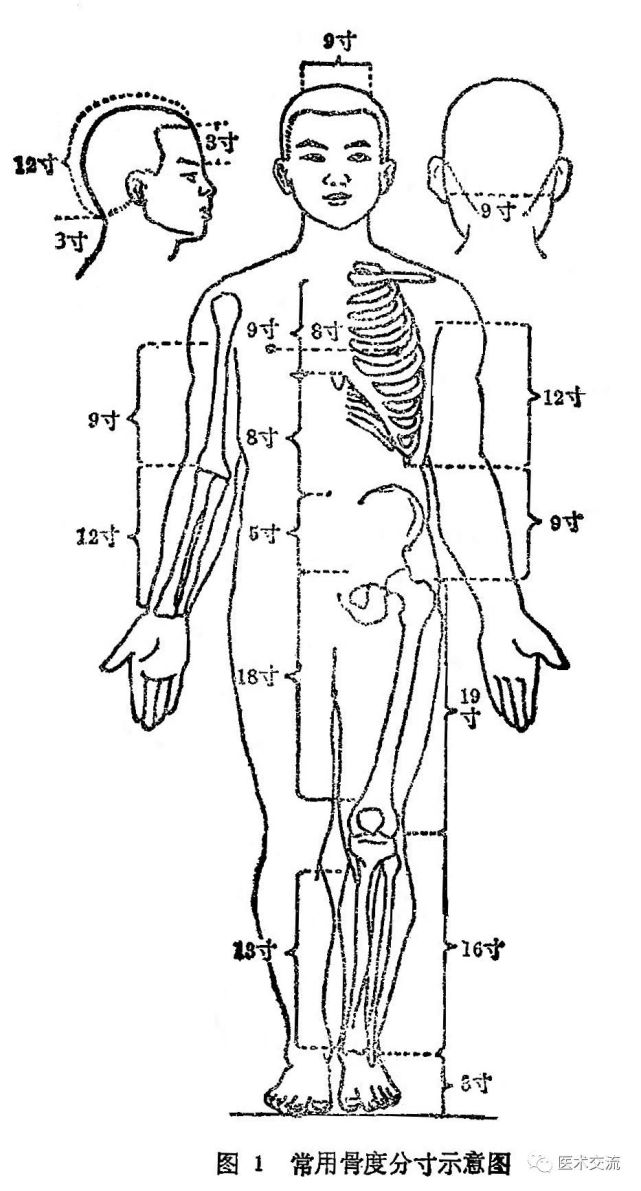骨度分寸法,古称"骨度法,始见于《灵枢·骨度》篇.