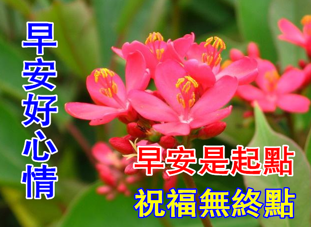 冬日最新特漂亮早上好图片动态表情大全最美风景早上好美图大全