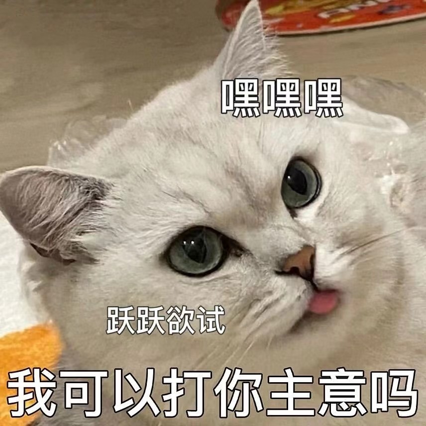 猫猫色色表情包