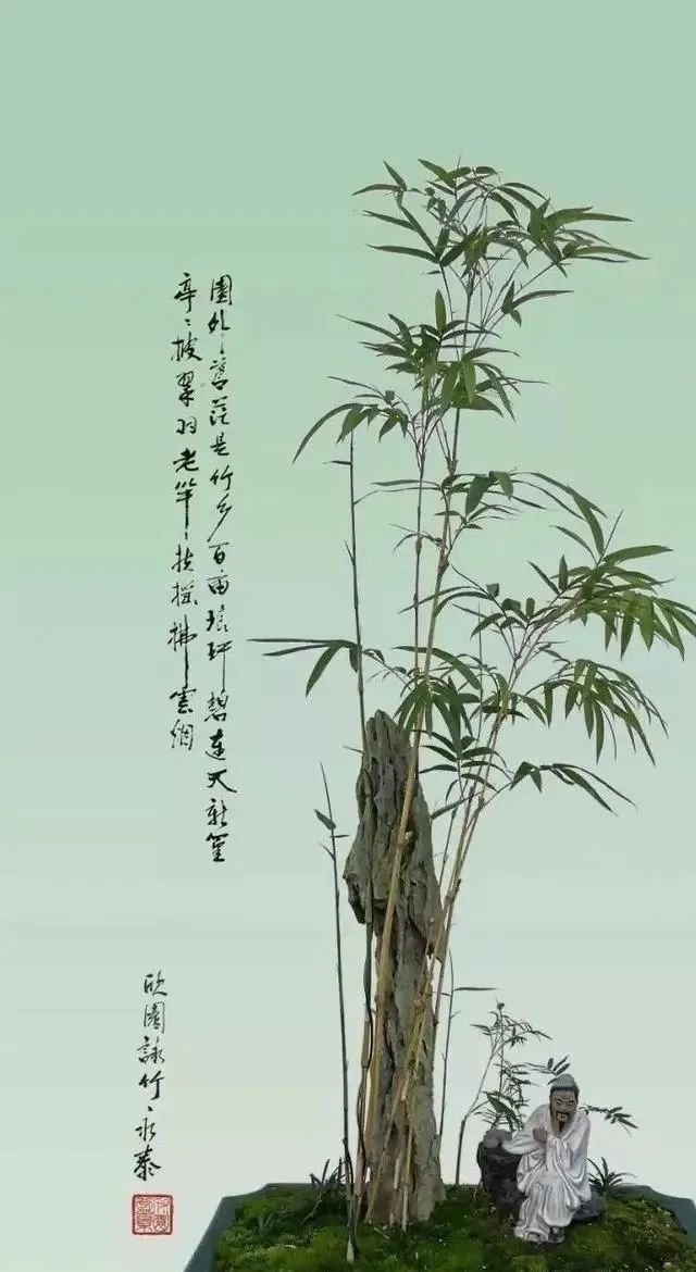 竹盆景,难得一见的佳作