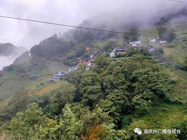 维西县保和镇永春村白帕组云南省迪庆州德钦县羊拉乡羊拉村委会羊拉贡
