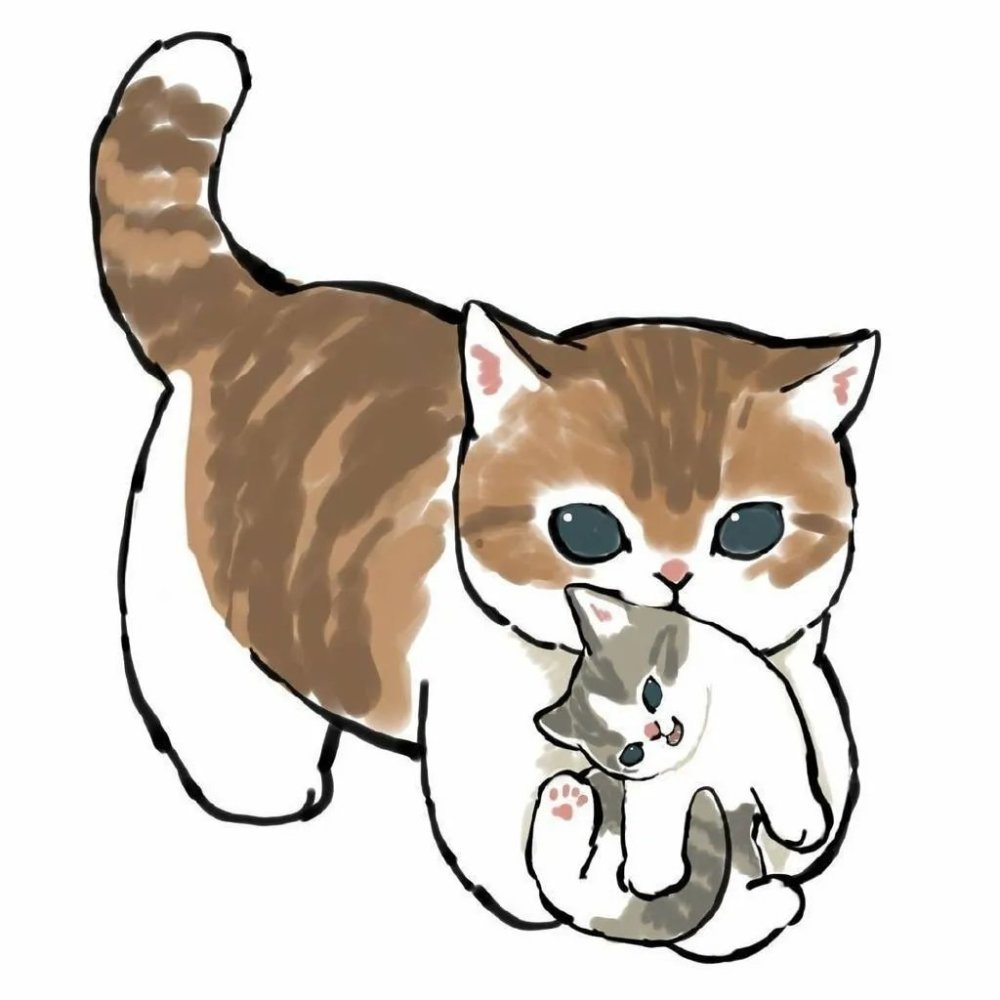 可爱小猫动物头像情头