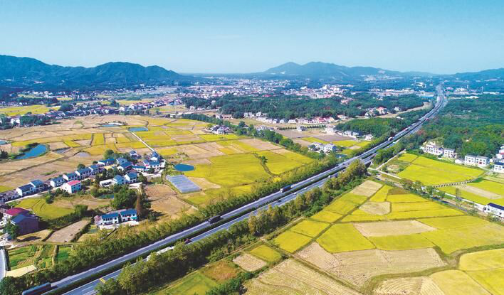 赣州市瑞金市瑞林镇苏地有多少人口_瑞林镇地图 瑞林镇卫星地图 瑞林镇高清