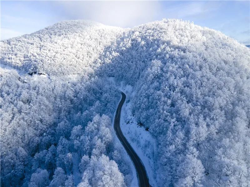 土耳其雪后森林绝美景致银装素裹美如画卷