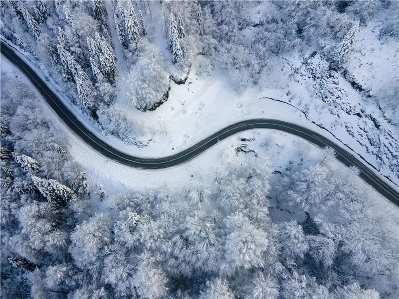 土耳其雪后森林绝美景致银装素裹美如画卷