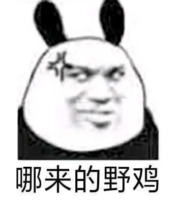 表情包熊猫头斗图为什么你手里总拿着手机