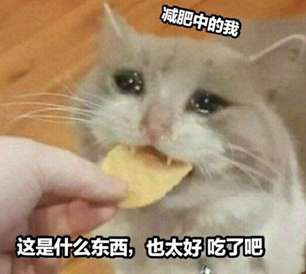 猫猫干饭表情包您好我是来应聘干饭王哒