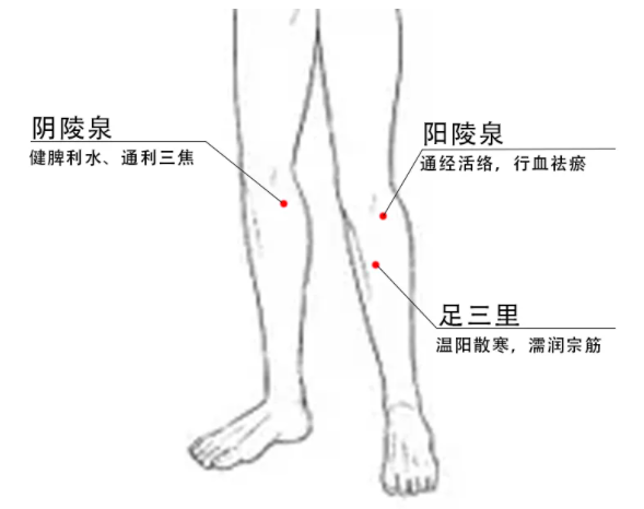 取穴:阿是穴(痛点),阴陵泉,阳陵泉,足三里二,锻炼腿部肌肉老寒腿因为