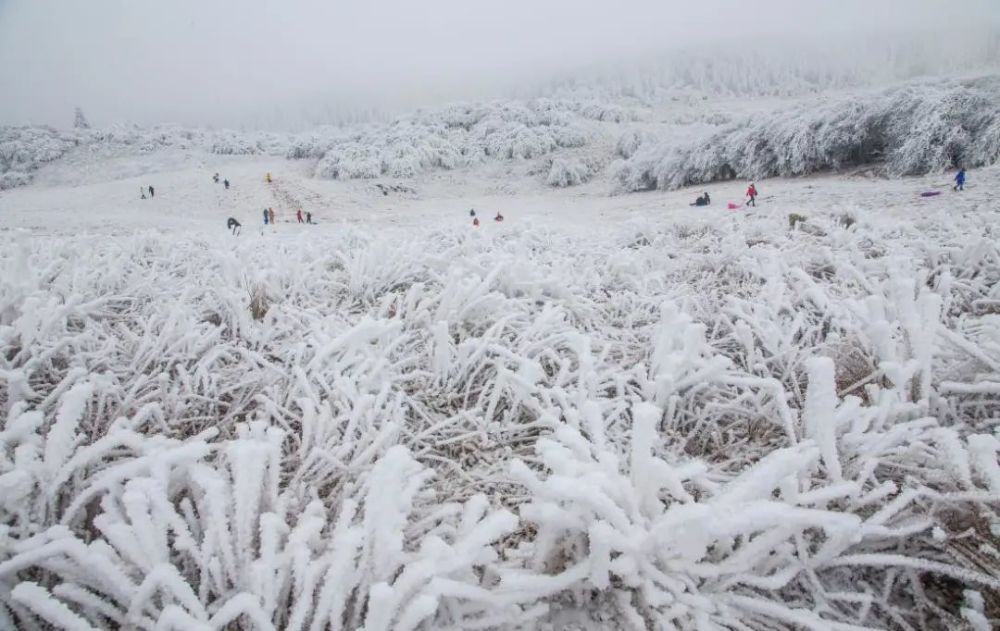 一场来自武隆仙女山的冰雪之约