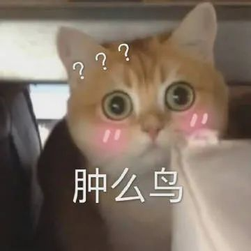 表情包肿么鸟