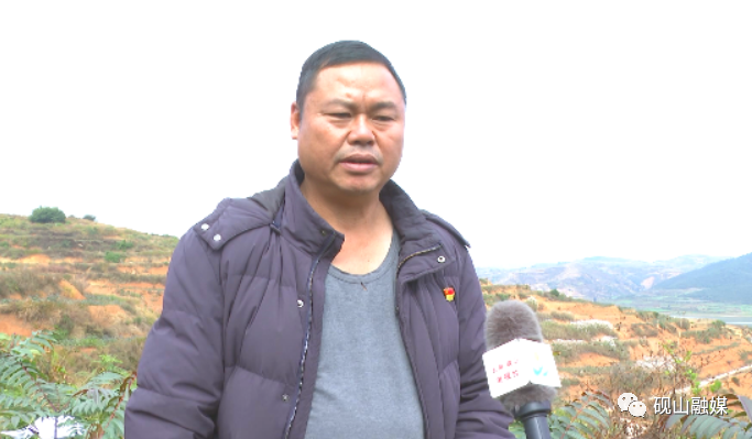 砚山县平远镇永和村委会 副书记 杨忠贵入春时节,最高达到60元一公斤.