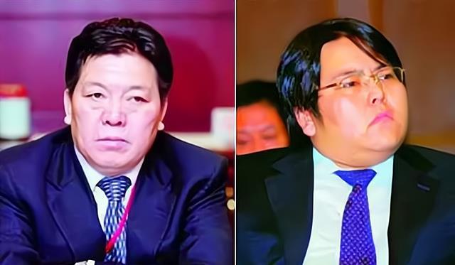 李兆会:从百亿身家富翁到破产,最年轻的"富二代"的人生轨迹