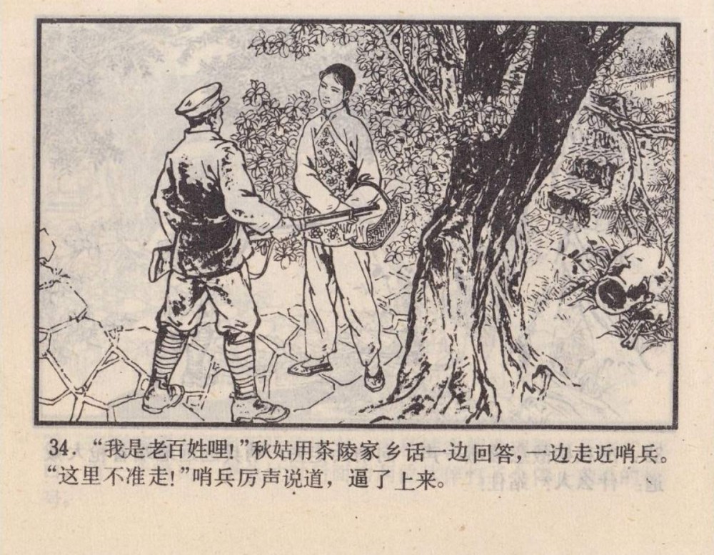 连环画捉放地头蛇看红军如何与白匪斗智斗勇