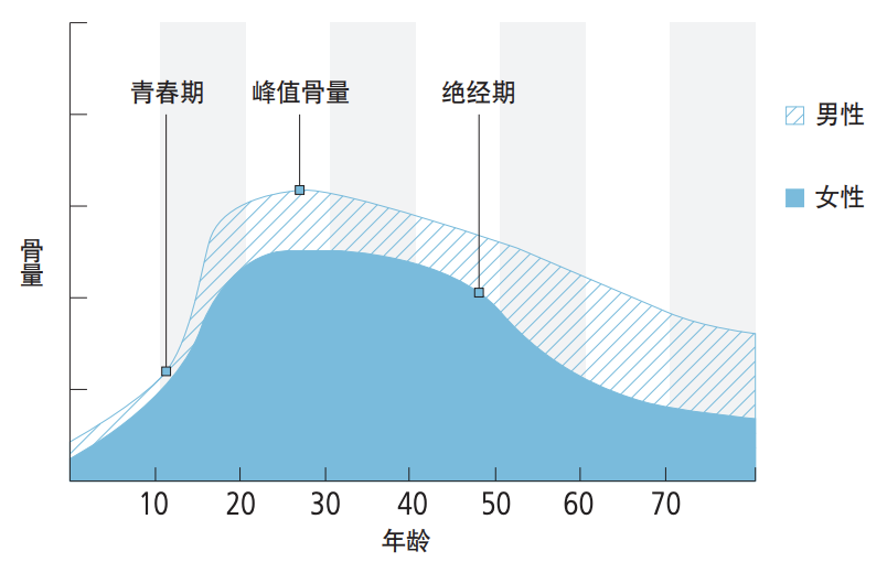 这些都会导致骨量产生变化