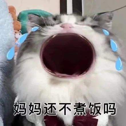 因为她生了你,才成了妈妈