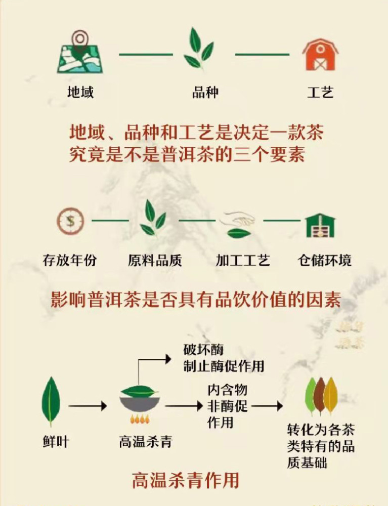 一文让你快速了解云南普洱茶工艺流程看完你就懂了