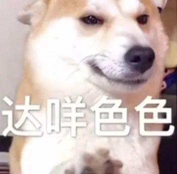 不可以色色表情包