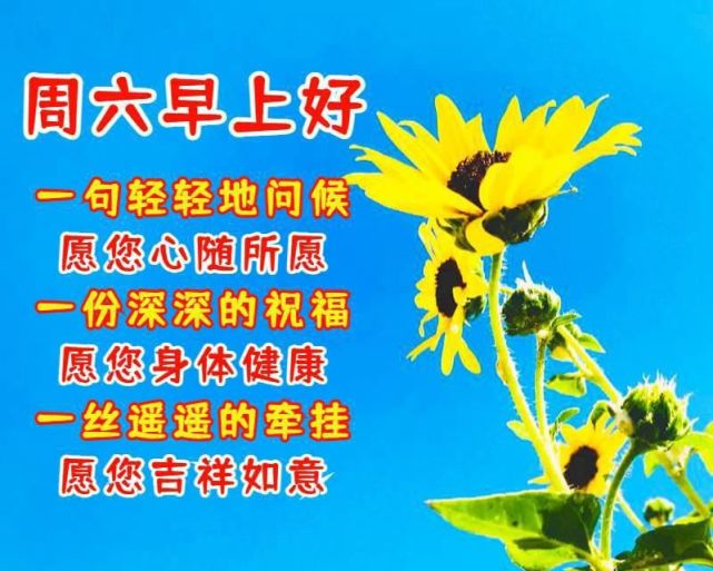 好朋友早上好祝福语优美句子老朋友早安祝福语祝福图片