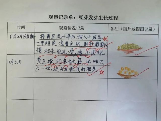 三年级老师引导学生观察身边事物,并记录新发现,精心设计观察记录单