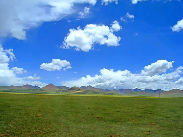 西藏草地面积为全区面积最大地类 天然牧草地占比逾85%