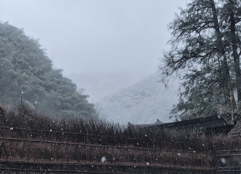 杭州下雪啦雪景来了未来气温将跌破0