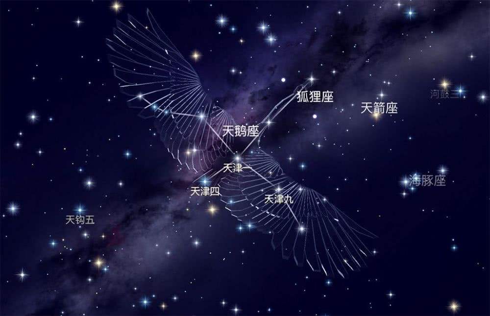 四川稻城收到天鹅座伽马信号会揭示外星高智慧文明的存在吗