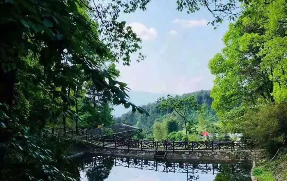 目之所及皆是风景邻水的美山美水您都看过吗