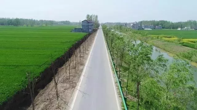 临泉又将有3个乡镇修路看看可经过你家
