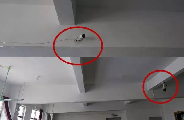 嘉兴一伙快递小哥监守自盗 串通一气偷貂皮大