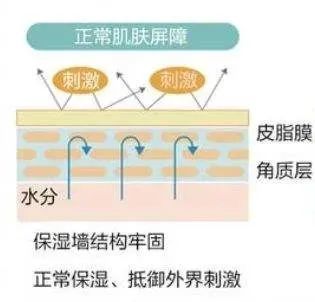 经期护肤保养_护肤保养知识_护肤保养讲座