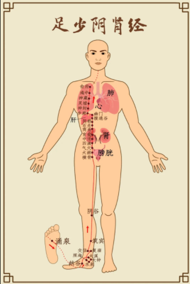 肝最喜欢伸懒腰脾最喜欢揉肚子那心肺肾呢