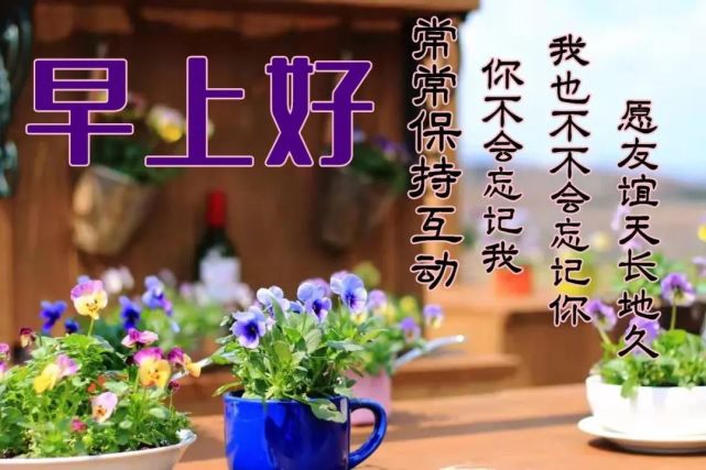 2022年3月11日清晨早上好问候祝福动态表情图片最新早安问候祝福图片