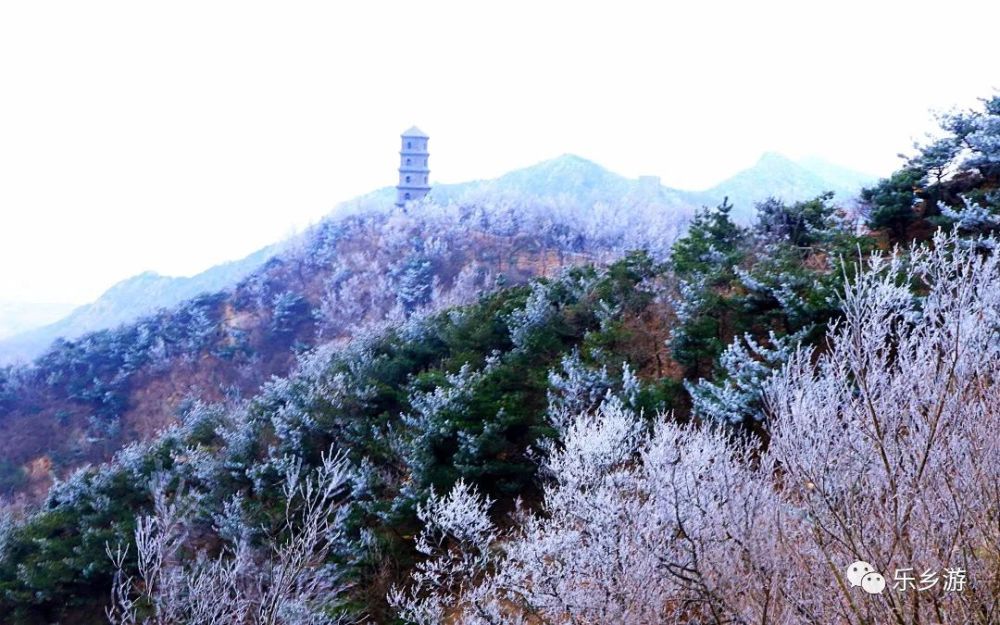 五莲大青山雾凇千树万树梨花开欲与飞雪傲苍空