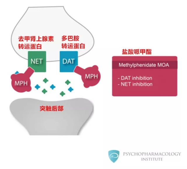 用药科普中枢神经兴奋剂药物专注达