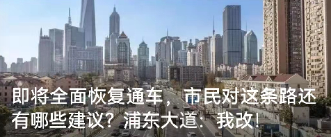 多倍镜下浦东大道通车了您对它还有哪些建议