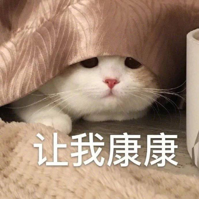 喵喵可爱表情包