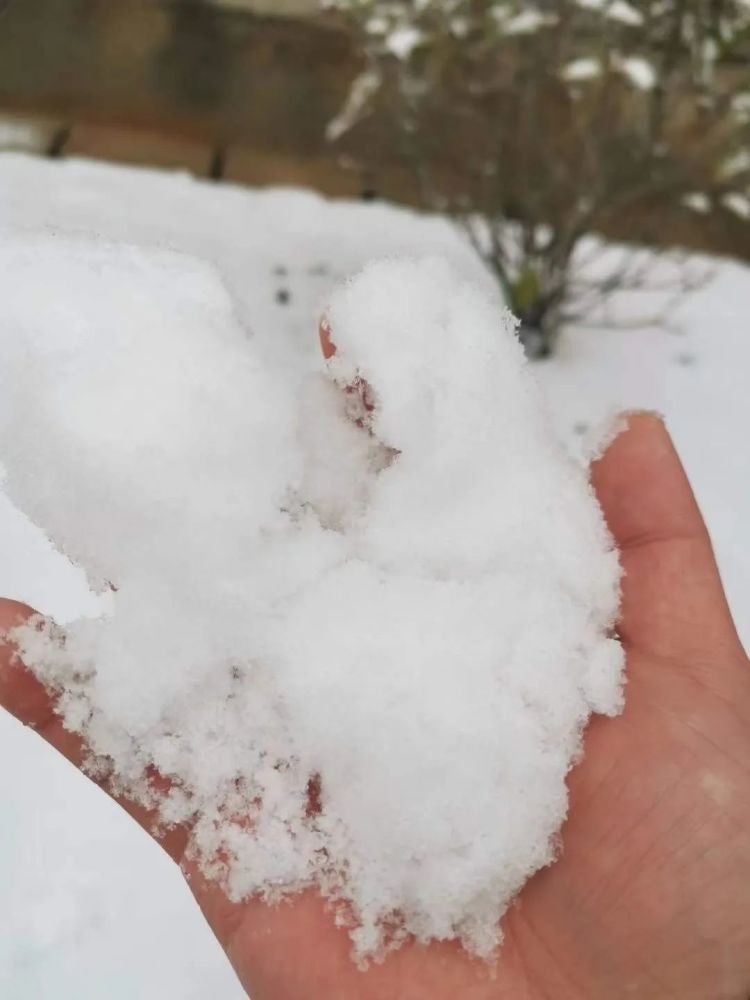 贵阳入冬第一场雪安排你发朋友圈了吗