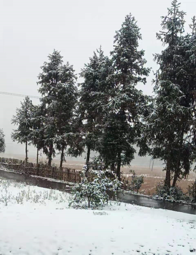 衡阳下雪了!