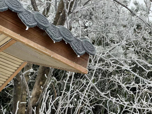衡阳下雪了!