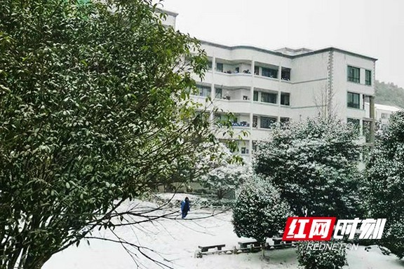 多图@益阳市民 瑞雪裹银城 晒出你镜头里的最美雪景_腾讯新闻