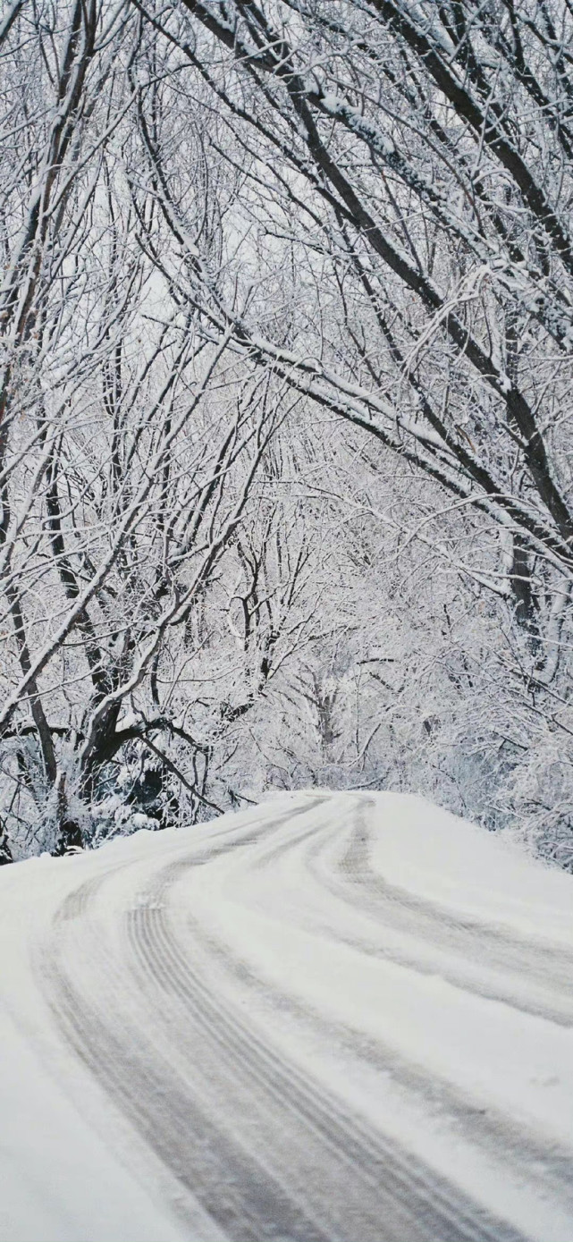 壁纸|冬天下雪风景壁纸