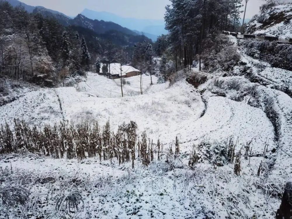 雪雪雪来了云阳迎来今冬第一场瑞雪