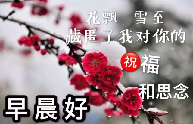 早安!多变的永远是天气,不变的永远是心情!愿淡淡的寒气轻拂您一
