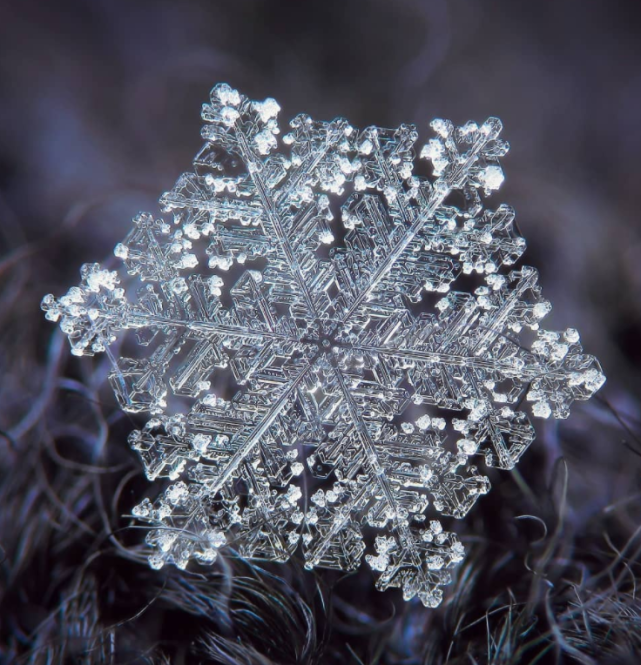 摄影师花13年时间只拍一朵雪花,当镜头放大2000