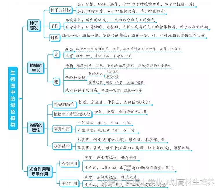 初中生物各专题知识梳理思维导图大汇总预习复习都适用