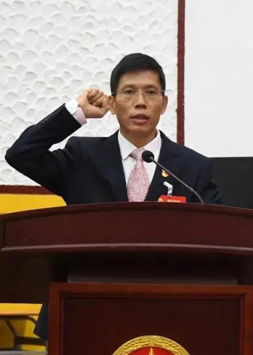 报经莆田市人民检察院检察长提请莆田市人民代表大会常务委员会批准)