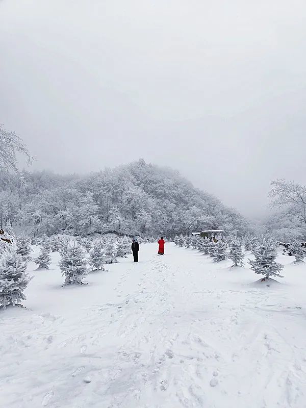 汉江源景区下雪啦!宛如仙境!