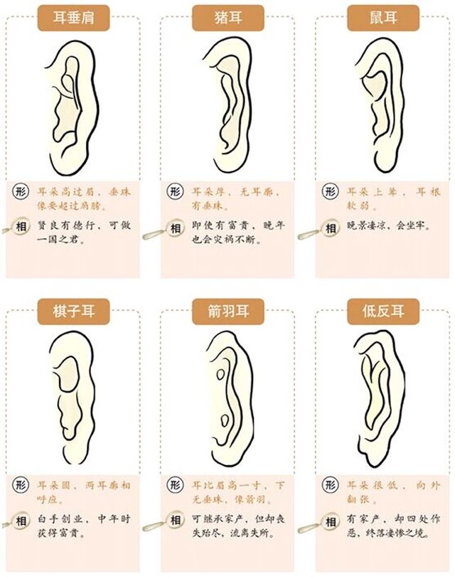 人有没有福气看耳朵就能看出来一种耳朵一种命